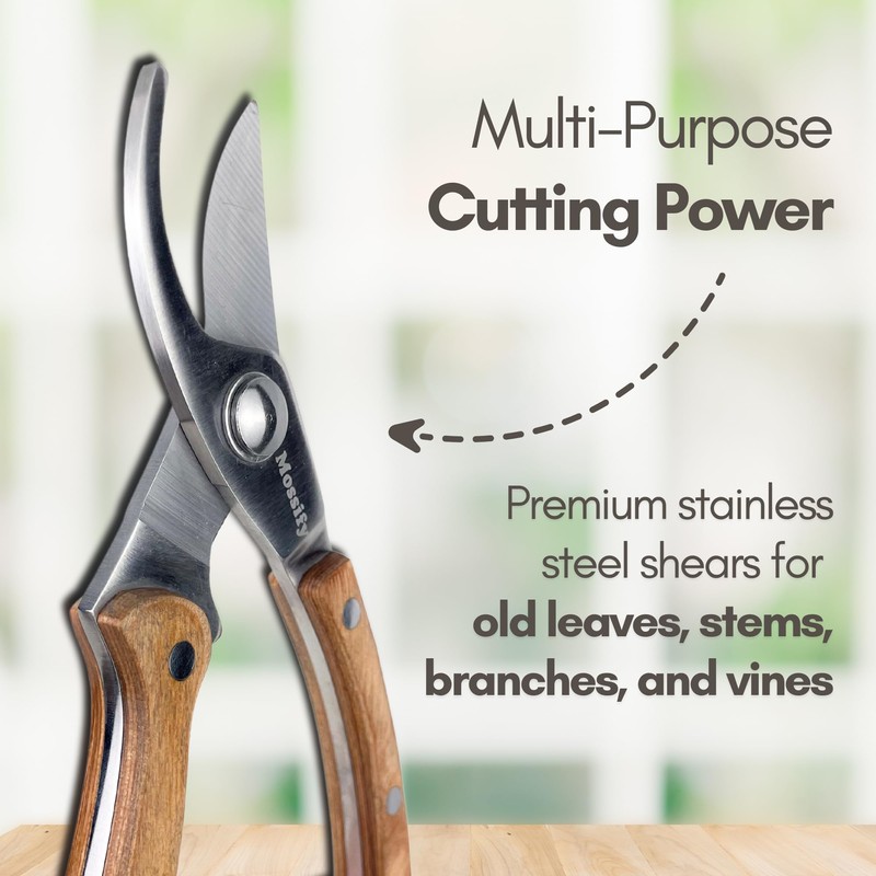 Mossify Garden Shears 8” – Premium Stainless Steel Pruning Shears