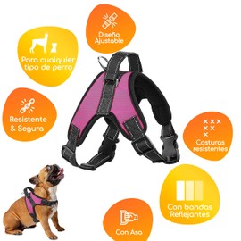 MASCRETTA Arnés/Pechera para Perro. No Daña el Cuello de tu Mascota. Excelente para Pasear. Collar Deportivo con Bandas de Luz Reflejantes para Cualquier Raza. Talla S, M, o G. (Mediano, Rosa)