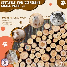 YIBEBE Large Guinea Pig House with Ramp: Guinea Pig Toy Accessory - Wooden Guinea Pig Hiding Place for Small Pets Dwarf Hamsters Gerbils Degus Spines (Wood)