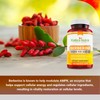 Kaibro Nutra Berberine 500mg (1000mg Per Serving) for Supports Healthy