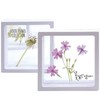 Global Easy Transparent Frame Herbarium/Pressed Flowers/Insects (Large) (Capacity for 10)
