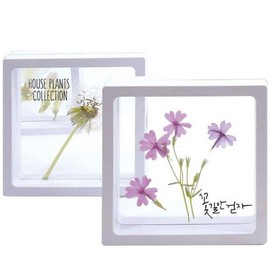 Global Easy Transparent Frame Herbarium/Pressed Flowers/Insects (Large) (Capacity for 10) Transparent Frame Transparent Pressed Flower Frame Transparent Pressed Flower Frame / 글로벌이지 투명 액자 하바리움압화곤충 (대) (10인용) 투명액자 투명압화액자 압화투명액자