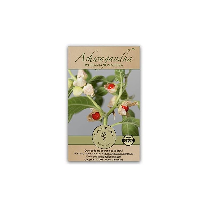 Semillas de Ashwagandha Gaea's Blessing – Relíquia sin OMG, frescas