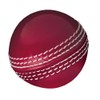 Gunn & Moore GM Cricket Training Ball, Skills Ball, Red,