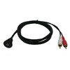 zdyCGTime 6 Feet 2RCA Male to 3.5mm Female Extention Mount,