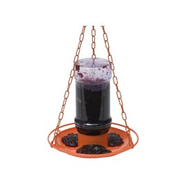 Perky Pet Jelly Feeder Oriole 32 Oz