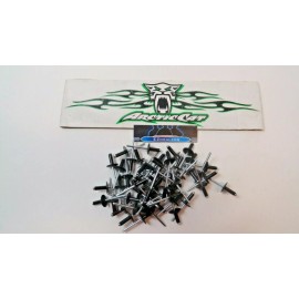 EZ-Rivet Vintage Arctic Cat Snowmobile Rivets 50 Qty 3/16 Alum. Large Head Black Rivets