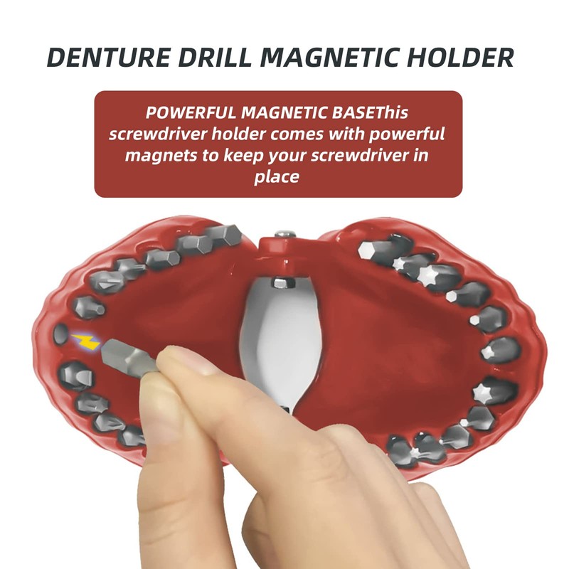 Denture Drill Bit Holder, Bit Organizer Denture Model Holds Up