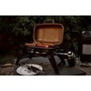 Gas One GasOne Tabletop Propane Grill C Portable Grill Propane