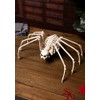 Crazy Bonez Skeleton Spider