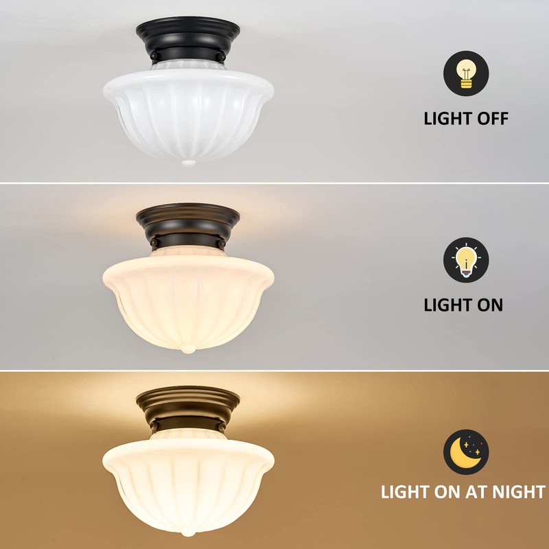 youngrender Black Schoolhouse Light Fixture Ceiling, 9 Inch Hallway Semi