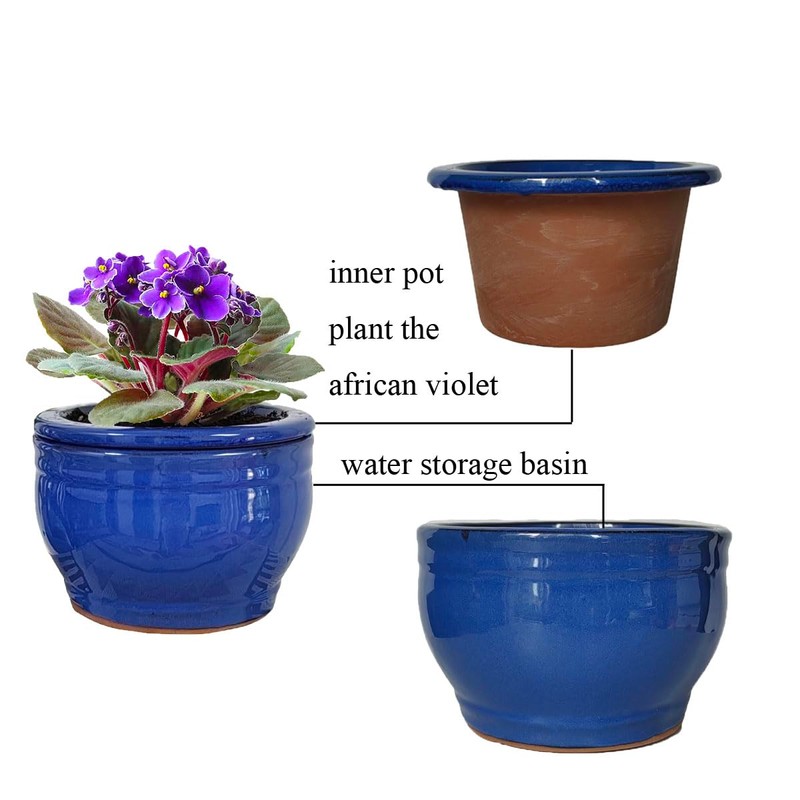 Dphagesy African Violet Pots Self Watering 6 inch Round Ceramic