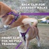 Plutus Pet Adjustable No Pull Dog Harness with Leather Accents,