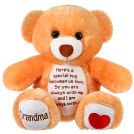 Sympathy Bears for Boys and Girls Loss of Grandma, Memorial Stuffed Animal for Loss of Grandma Boys and Girls Sympathy Gift for Grieving Bear Plush Toy for Condolences Memorial Loss of Loved