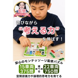Montessori Educational Toy, Slide Puzzle, Montessori Puzzle Game (750 Questions)