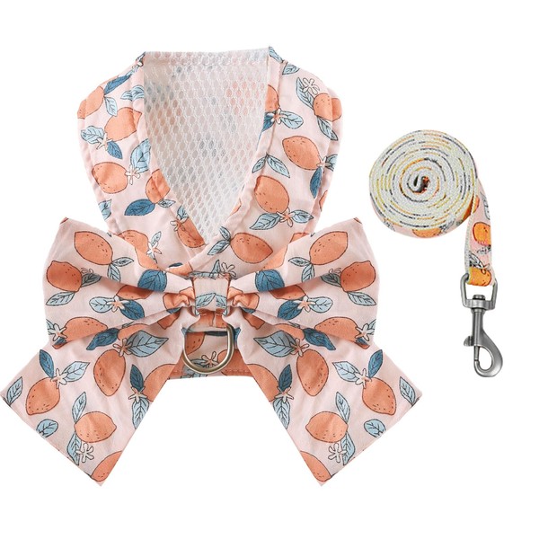 BAEJMJK Dog Harness and Leash Set with Bow Knot No