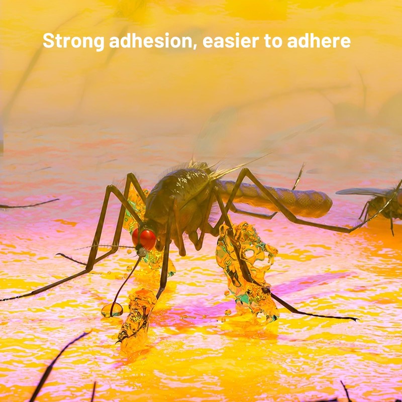 10 Refills UV Fly Light Trap Indoor for Home Gnat