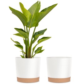 kubvici Plant Pots for Indoor Plants, 2 Pack 12 Inch Pots for Plants, Lightweight Large White Planters for Indoor Plants Outdoor Plants, Big Plastic Plant Pot Flower Pot with Drainage (12” White)