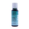 PME Food Colour Liquid - Spruce Green (25ml)