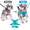 Cat Harness and Leash Set for Indoor Cats & Small