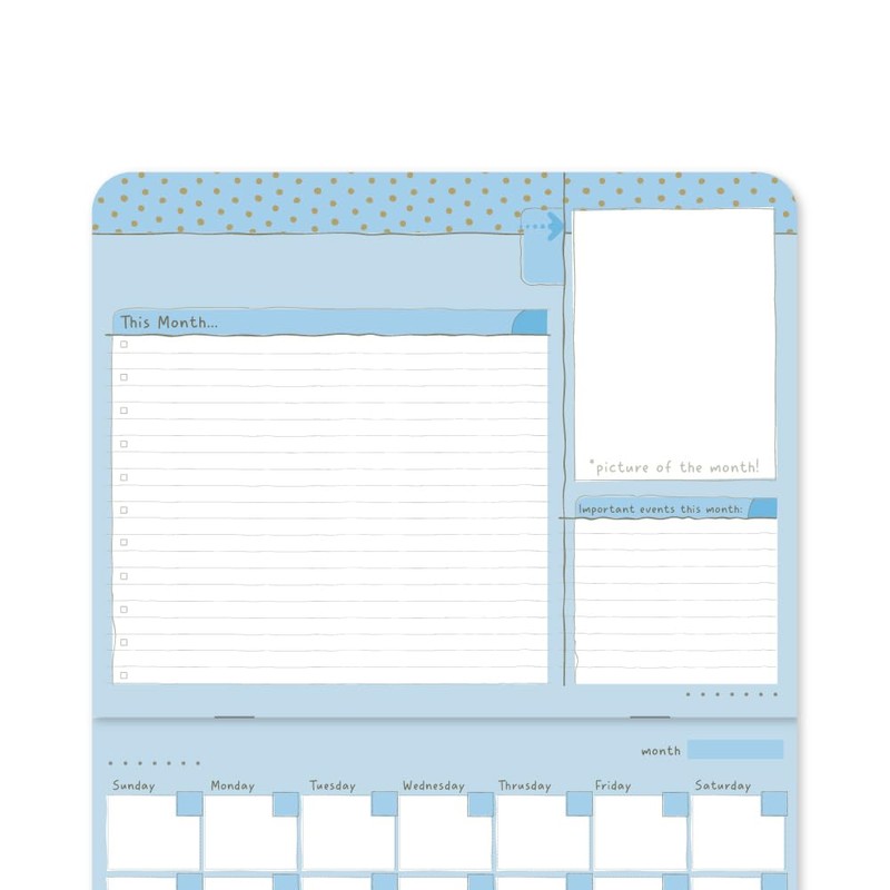 "My First Year" Baby Calendar with Stickers – Track and