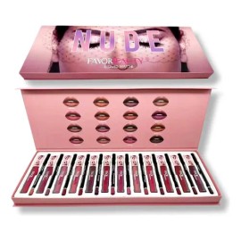 Favorbeauty Labial Líquido Y Delineador 24 Piezas 12 Tonos                                                                                            