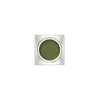 Lunasol Glam Wink EX01 Evergreen Eye Shadow