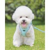 Petank Dog Harness for Small Medium Dogs No Pull, Puppy