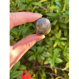 WHOLESALE Tumbled Stone, Natural Tumbled Gemstone, Polished Rocks, Tumbled Crystals, Stones for Wicca, Reiki, Therapy, Meditation and Crystal Healing, 1 lb, Stone, crystal stones