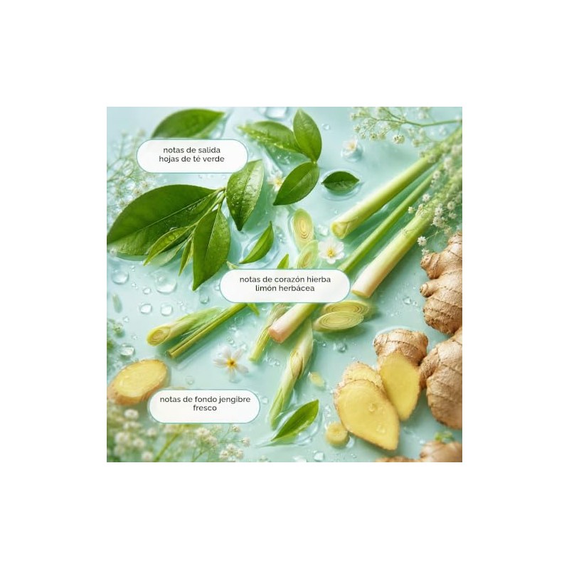 Ginger Lily Farms Botanicals mezcla de cítricos gel de baño