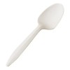 We Care - Cuchara Desechable 100 Biodegradable