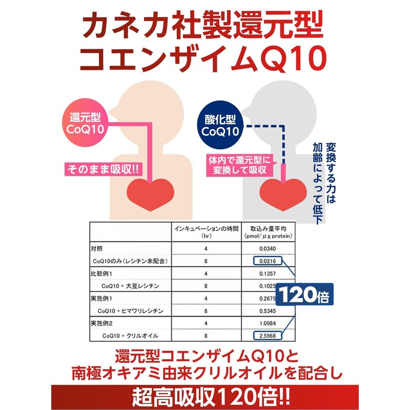 SHUUI 修意 還元型コエンザイムQ10 サプリ (60粒 30日分) 高吸収 コエンザイムQ10 睡眠の質を高める 国内GMP認定工場で製造