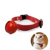 Cat Collar, Cat Collar, Includes Pet Collar, Kitten Collar, Includes