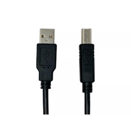 PPA Int'l 6ft USB 2.0 A Male to B Male Cable (3411)
