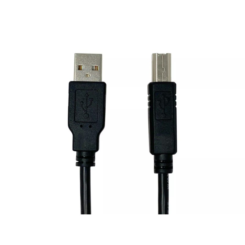 PPA Int'l 6ft USB 2.0 A Male to B Male