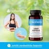 LEBER Kapseln mit Mariendistel & Cholinbitartrat – Mit Cholin zur