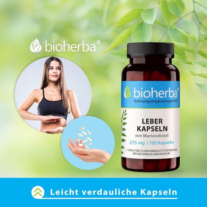LEBER Kapseln mit Mariendistel & Cholinbitartrat – Mit Cholin zur