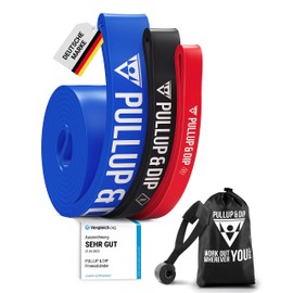 Pullup & Dip Fitness Bands, Resistance Bands with Bag, Door Anchor and Exercise Guide – Single and Economical Set, Pull-Up Band, Fitness Band for Calisthenics, Cross-fit and Fitness