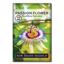 Sow Right Seeds - Passion Flower (Passiflora caerulea) Seeds for Planting - Beautiful Flowers to Plant in Your Garden - Non-GMO Heirloom Seeds - Exotic and Colorful Blooms - Attract Pollinators