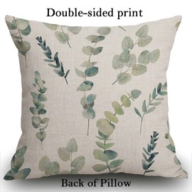 Smooffly Cushion Cover Decorative Green Leaf Watercolor multipack Eucalyptus Branches Hand Floral with Plant Objects on White Natural Greenery Twig 18x18 Inch Throw Pillow Cover Pillowcase
