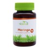 Moringa 500 Mg 30 Cápsulas Vidanat. Sabor Sin sabor