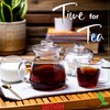 Simax Glassware 20 Oz. Glass Teapot | Short Spout, Microwave