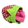 Strawberry Chalk Bag with Carabiner Drawstring for Rock Climbing Weight
