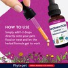 Phytopet Wormwood Complex, All Natural Pet Remedy Intestinal Hygiene, Health