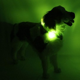 LEUCHTIE® Light Collar Plus I LED Collar for Dogs I 100 Hours of Light Duration I Waterproof I Extremely Bright, 45