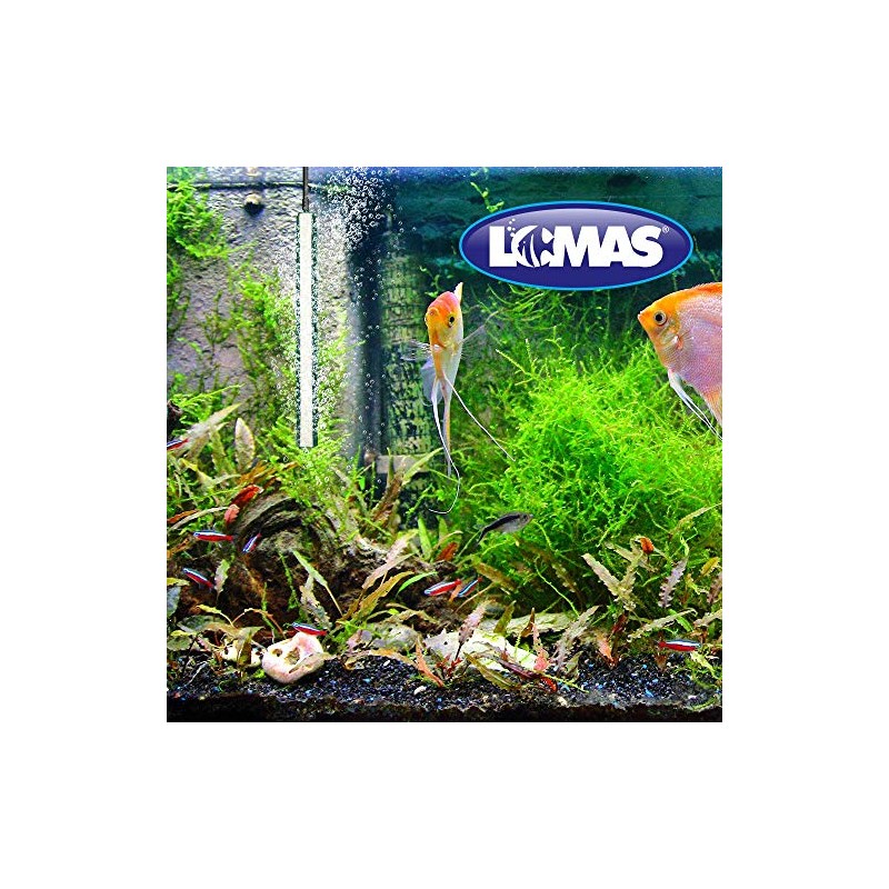 PIEDRA AIREADORA C/BASE DE PLASTICO 20 CM