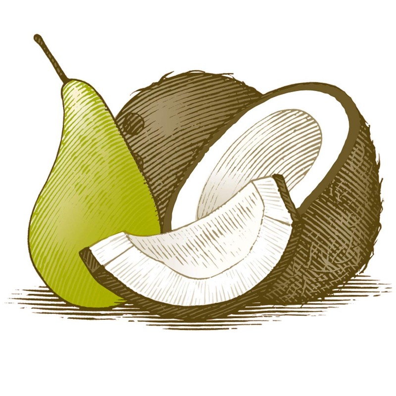 Burts Bees Coconut & Pear Lip Balm Stick 4.25 g