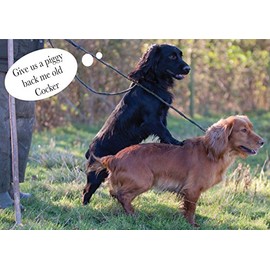 Funny Cocker Spaniel Dog greeting card Give us a piggy back me old Cocker