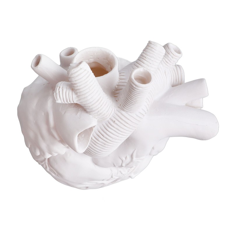 Creative Anatomical Heart Vases Resin Sculpture Heart Shaped Art Flower
