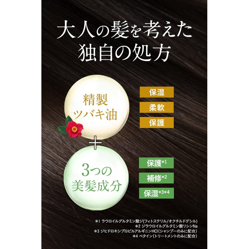 Oshima Camellia Excellent Treatment 7.1 oz (200 g), Camellia Oil,